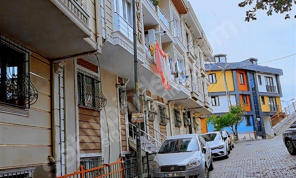 video image